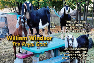 Goat Journal Digital Issue 9